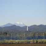 国立BBQファーム八王子みなみ野農園眺め