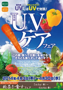uv-fair2014ポスター